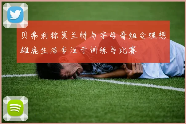 贝弗利称莫兰特与字母哥组合理想雄鹿生活专注于训练与比赛