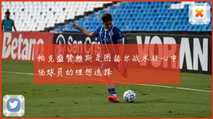 帕克盛赞赖斯是图赫尔战术核心中场球员的理想选择
